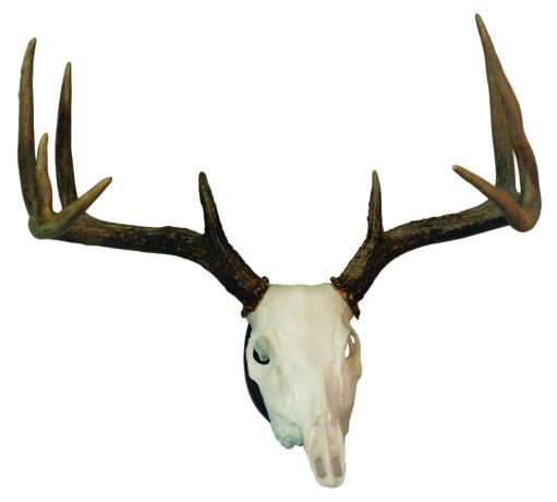 Hunter's Specialties Euro Skull Mounting Kit #01638