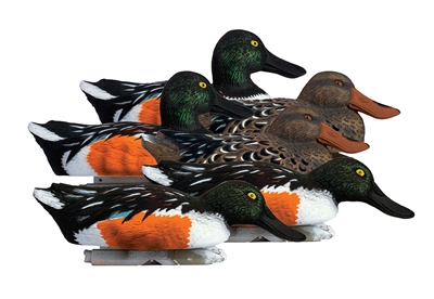 Higdon Standard Shoveler Decoy 6pk #19961
