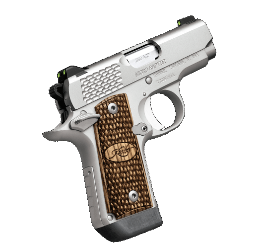 Kimber Micro Raptor Stainless .380 ACP 2-3/4" w/Fixed Low Profile 3-Dot Tritium Night Sights Semi-Automatic Pistol #3300084