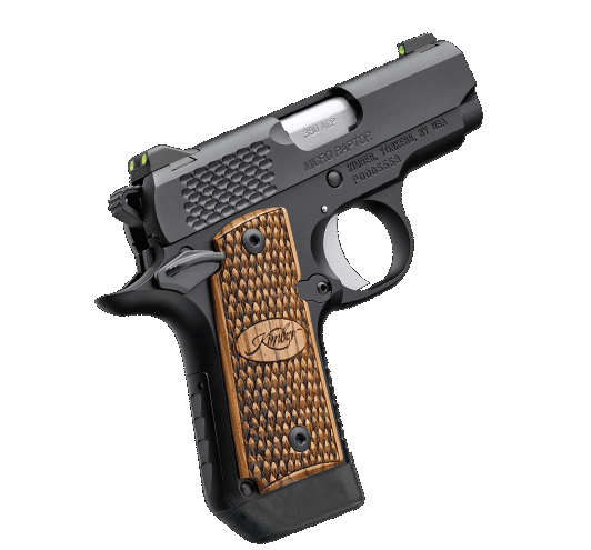 Kimber Micro Raptor .380 ACP 2-3/4" w/Fixed Low Profile 3-Dot Tritium Night Sights Semi-Automatic Pistol #3300087