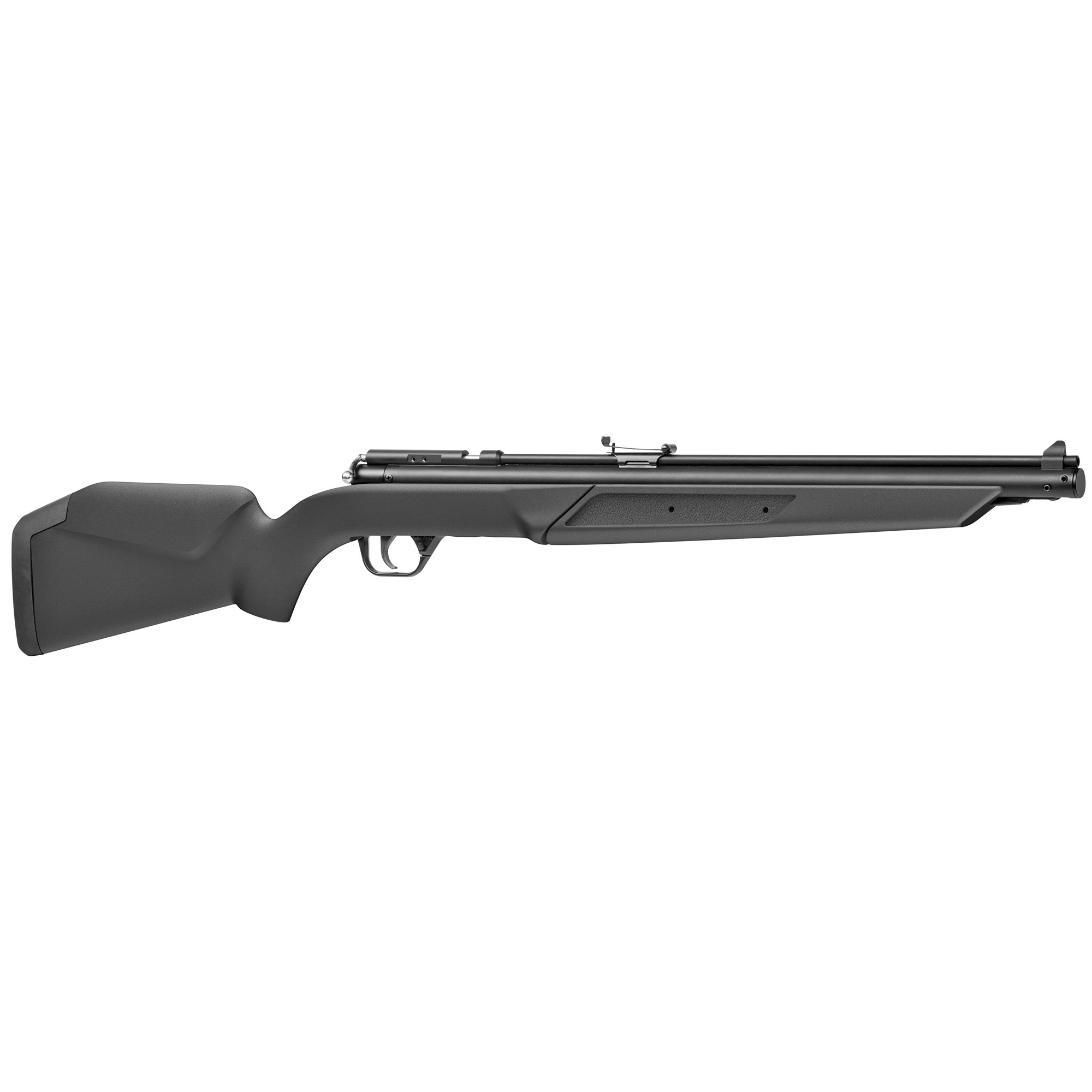 Benjamin 392S 392S Pump 22 Pellet Black Rec/Barrel Black Monte Carlo Stock