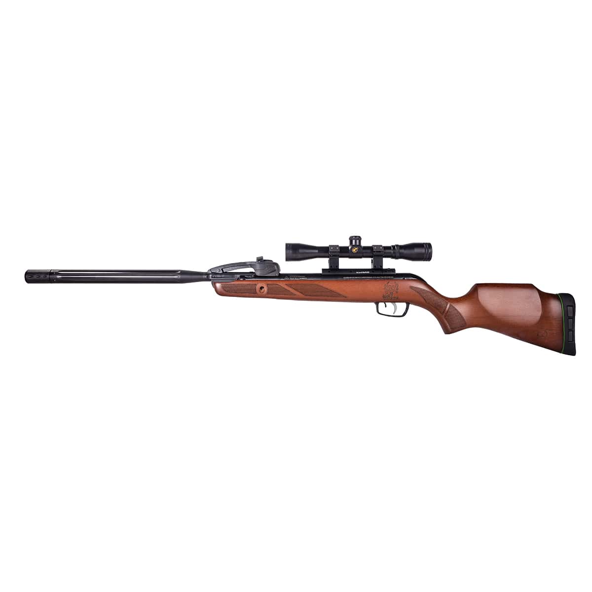 Gamo Swarm Bone Collector .22Cal 10-Shot Break Barrel Air Rifle #6110062254