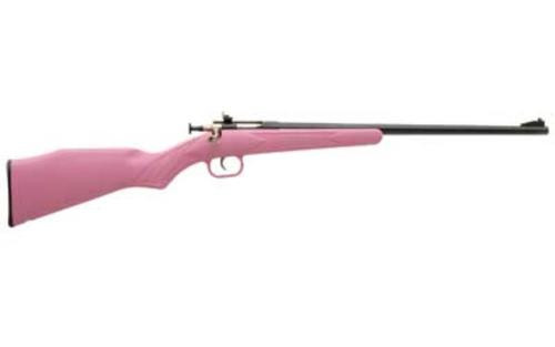 Keystone Crickett 22 LR, Blued Barrel, Pink Synthetic Stock