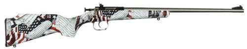 Keystone Crickett 22LR, 16", Amendment Stock, SS