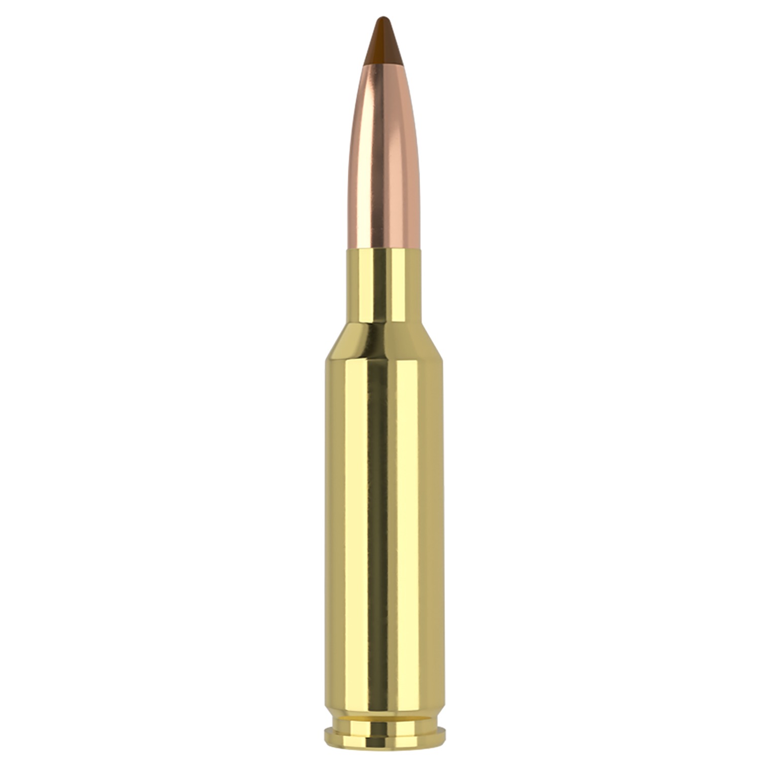 Nosler 61053 6.5x55Swedish 140gr Ballistic Tip 20 Per Box/10 Case
