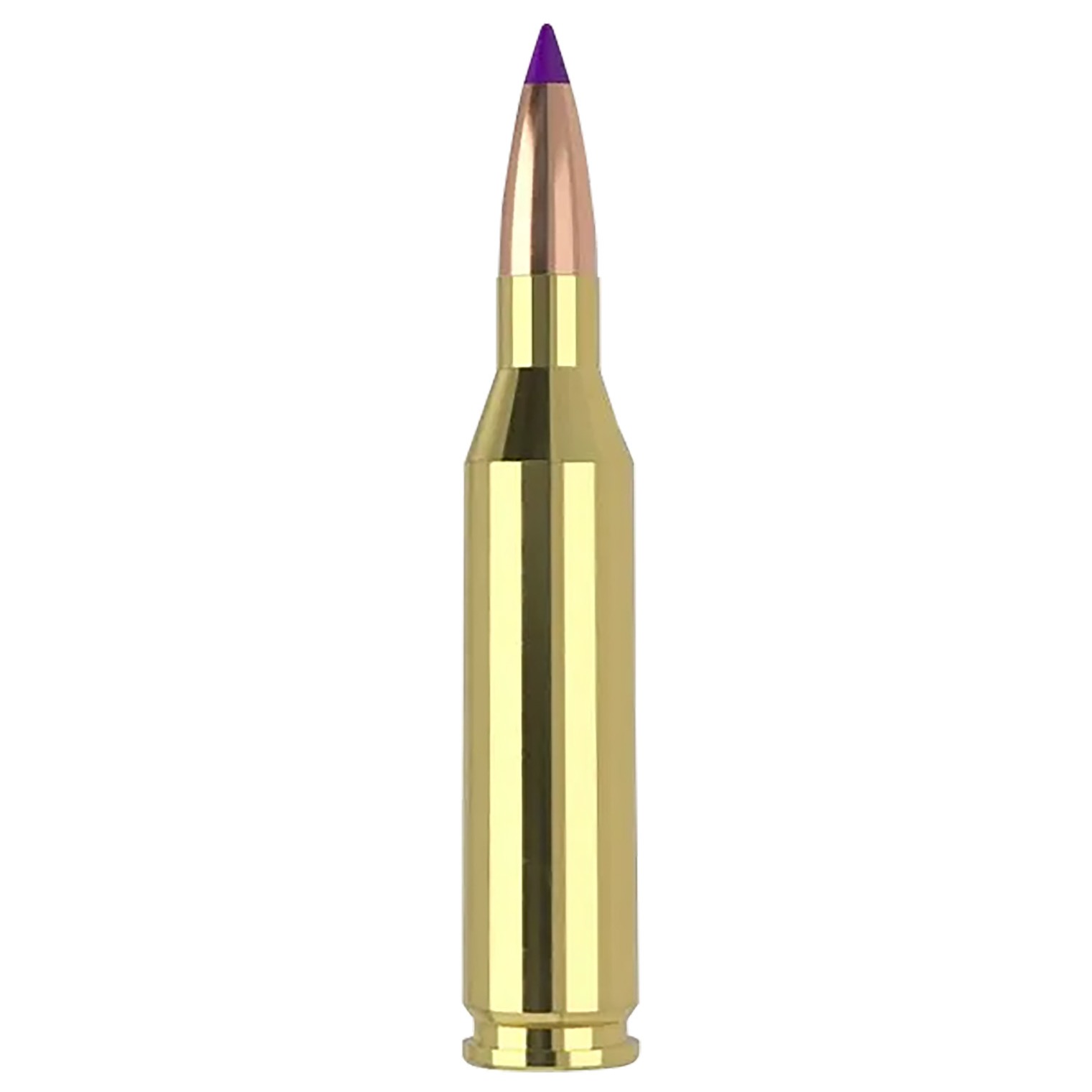 Nosler 40041 243Win 70gr Ballistic Tip Varmint 20 Per Box/10 Case
