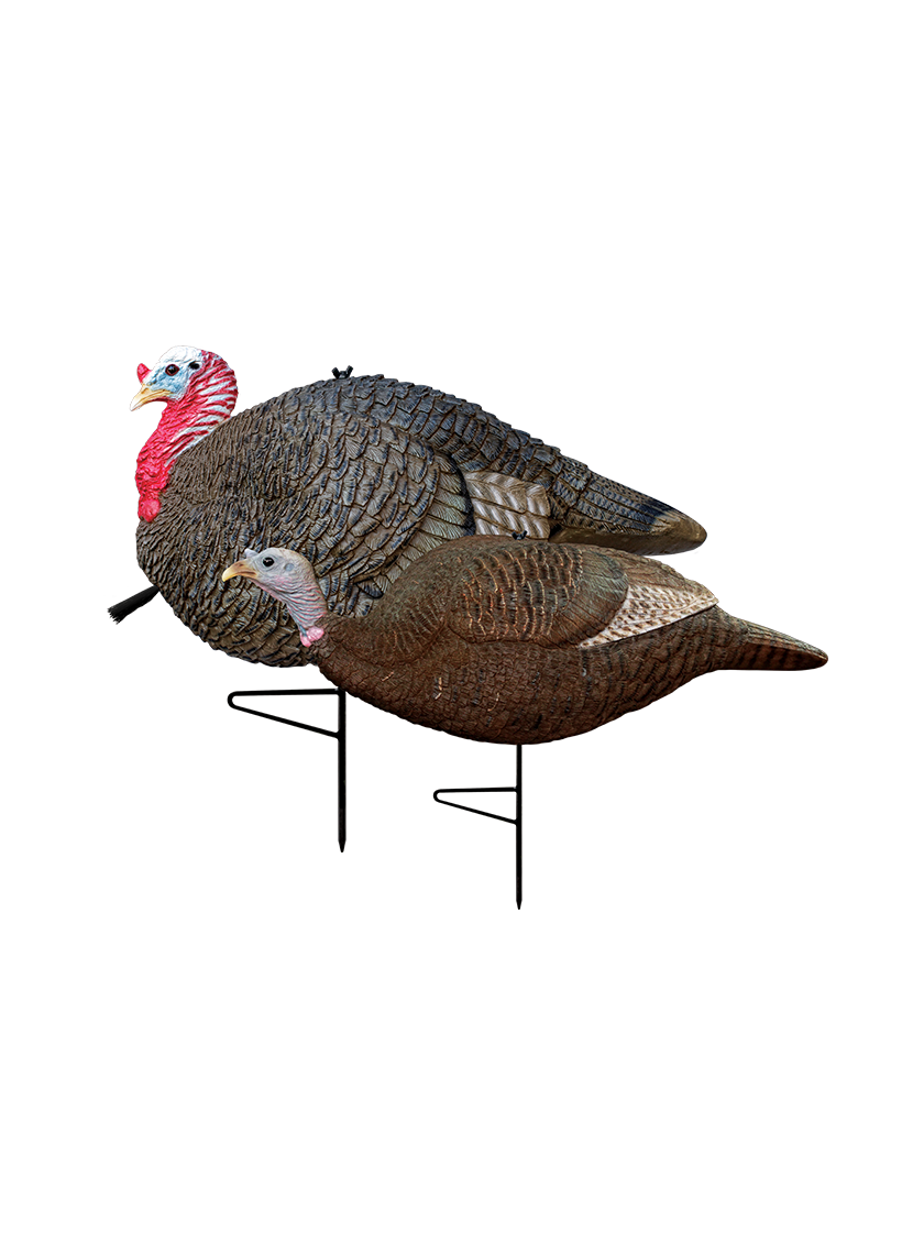 Primos Gobbstopper Jake & Hen Turkey Decoy Combo #69064