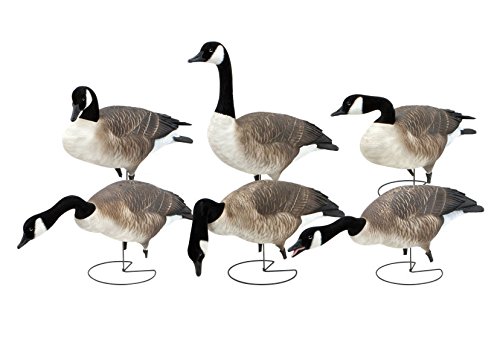 Avery GHG Pro-Grade FFD Elite Fully Flocked Full Body Honkers Harvester Pack #71577