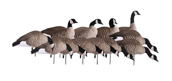 Avery Pro-Grade FFD Lesser Canadas Harvester Pack 12pk w/12-Slot Bag #72307