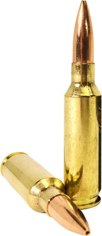 Armscor 6.5 Creedmoor 123gr, Hollow Point Boat Tail 20 Rd Box