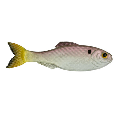 6th Sense Panorama 3.5 Ghost Pro Shad