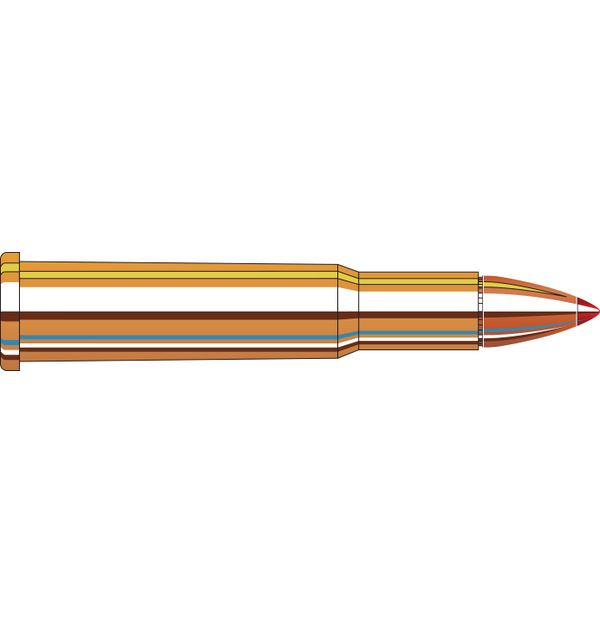 Hornady Ammunition 30-30 Win 160Gr. FTX LEVERevolution #82730
