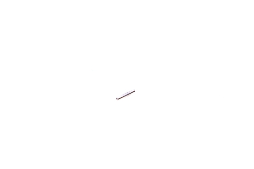 Phoenix Arms HP 25 Extractor Pin