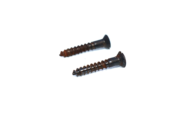 Thompson Center New Englander .50 Caliber Trigger Guard Screws (2)