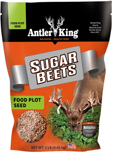 Antler King Antler King Sugar Beets Seed 1/8 Acre AKSB1
