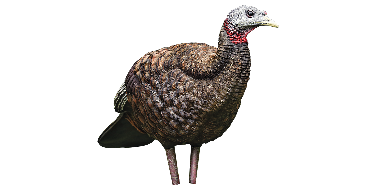 Avian-X LCD Breeder Hen Turkey Decoy #AVX8008