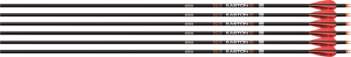 EASTON ARROW 6.5MM MATCH GRADE 300 W/3" AAE HYBRID VANES 6PK 701360
