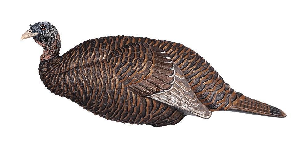 Flextone Thunder Chick Breeder Hen Turkey Decoy #FLXDY331