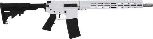 GREAT LAKES FIREARMS GL-15 RIA 223 WYLDE 16IN BBL ORC WHITE/SS 30RD MAG GL15223SS WHT GL15223SSWHT