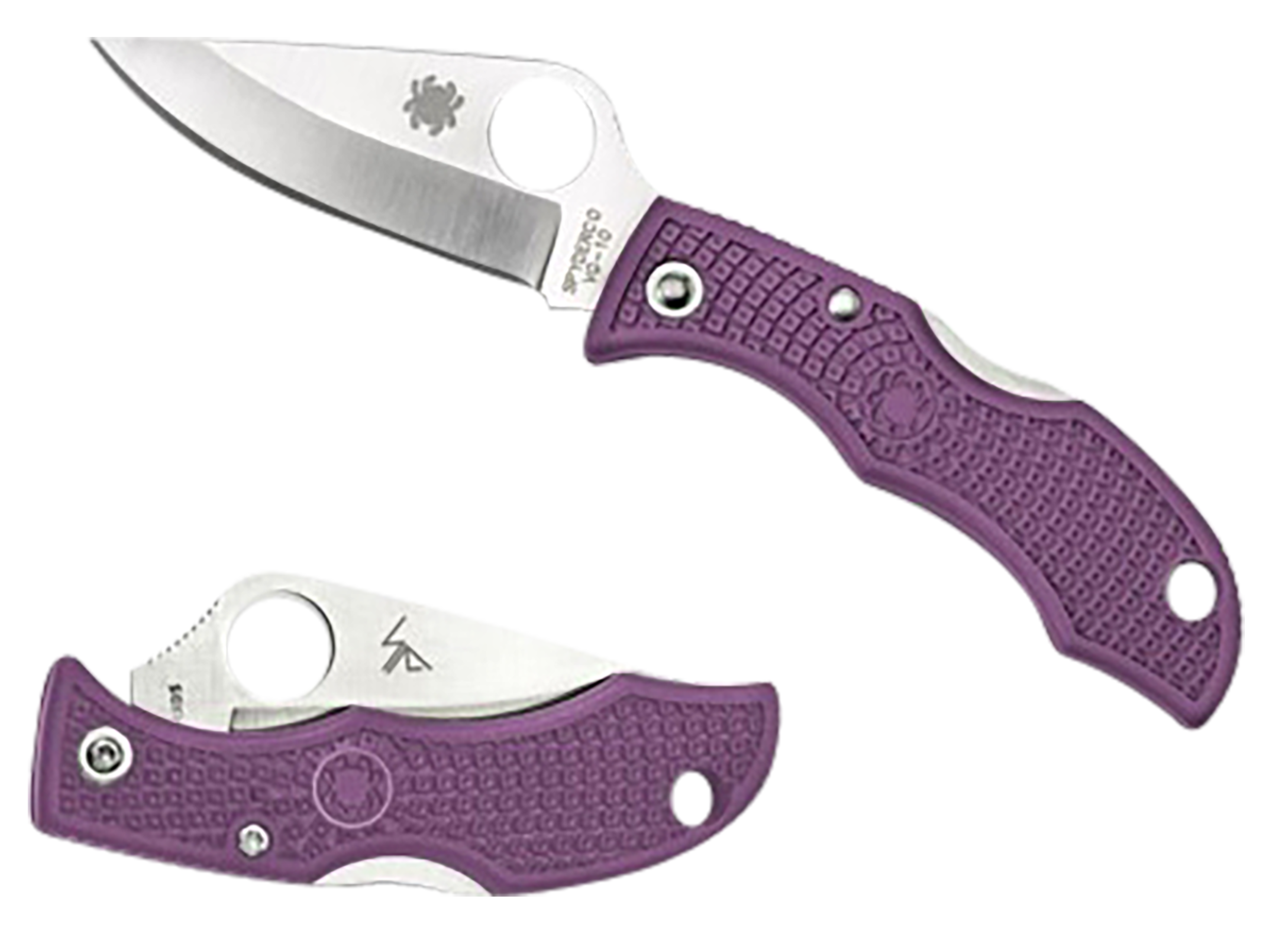 Spyderco Ladybug 3 Salt 1.94" H2 Steel Plain Edge Purple FRN Folding Knife