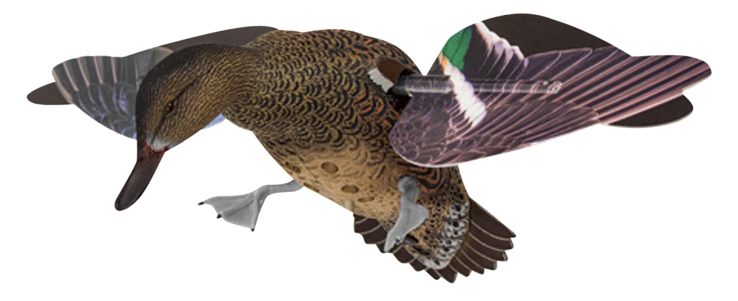 Avian X PowerFlight Hen Green-Winged Teal Spinning Wing Decoy