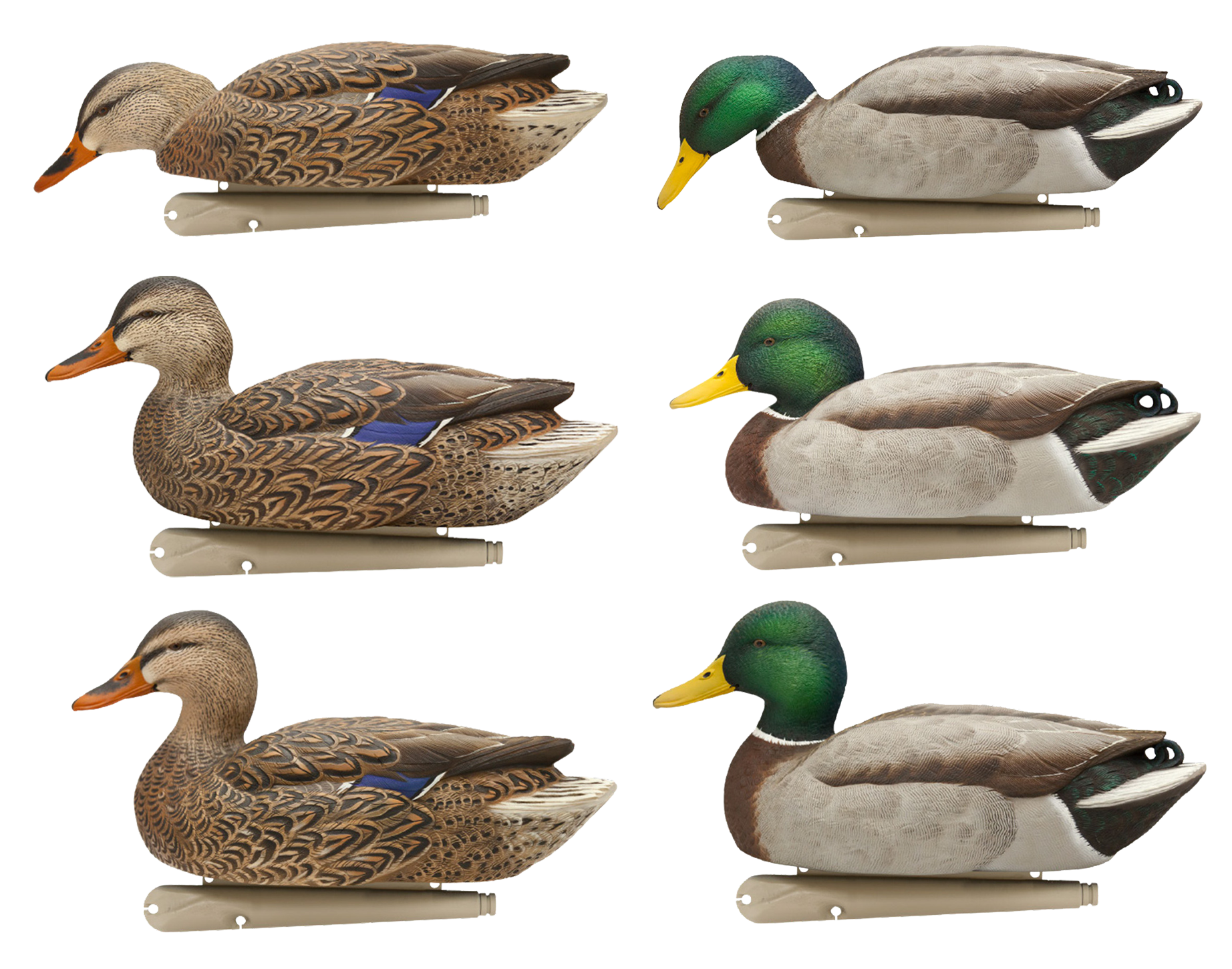 Avian X Topflight Fusion Mallards Floating Duck Decoy 6-Pack - Multi-Color