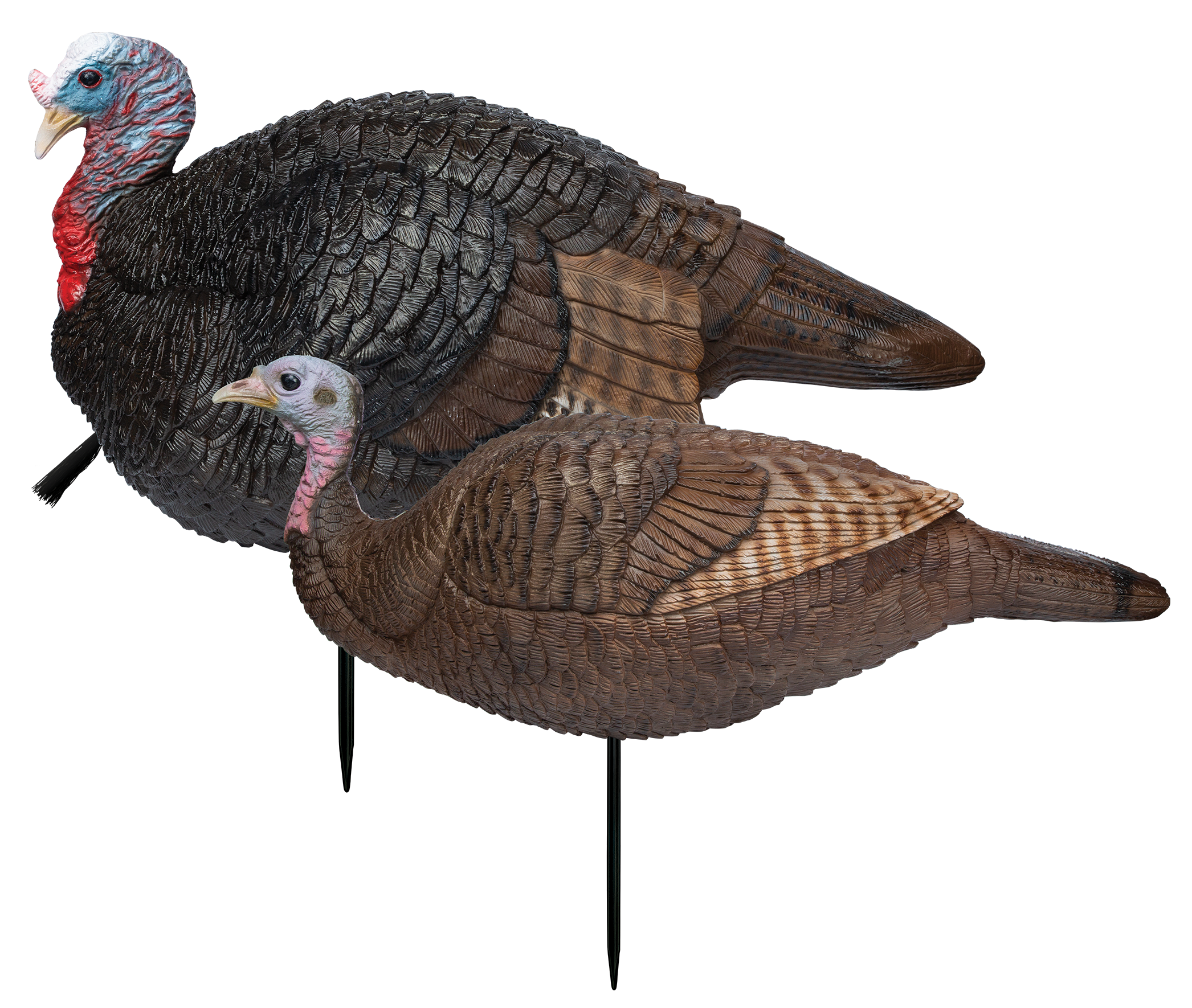 Primos Lil' Gobbstopper Jake & Hen Combo Turkey Decoy Multi-Color