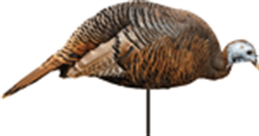 MONTANA DECOY COMPANY TURKEY HEN DINNER BELLE 0043