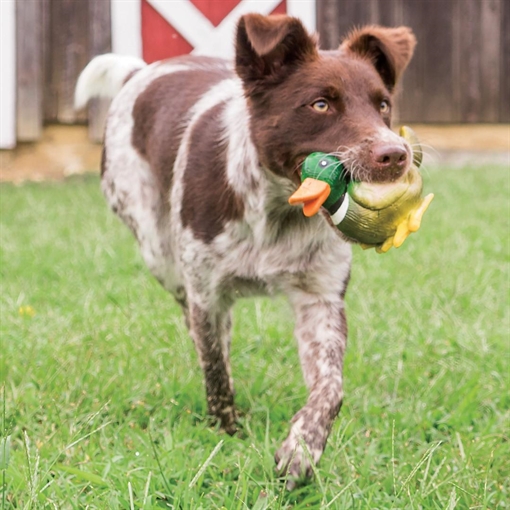 PetSafe Sportsmen Squeeze Meeze Duck PTY00-15863